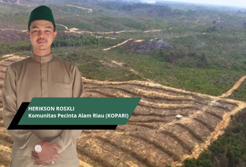 Melawan Demi Ruang Hidup: TNTN, Sawit, dan Luka Struktural Negara