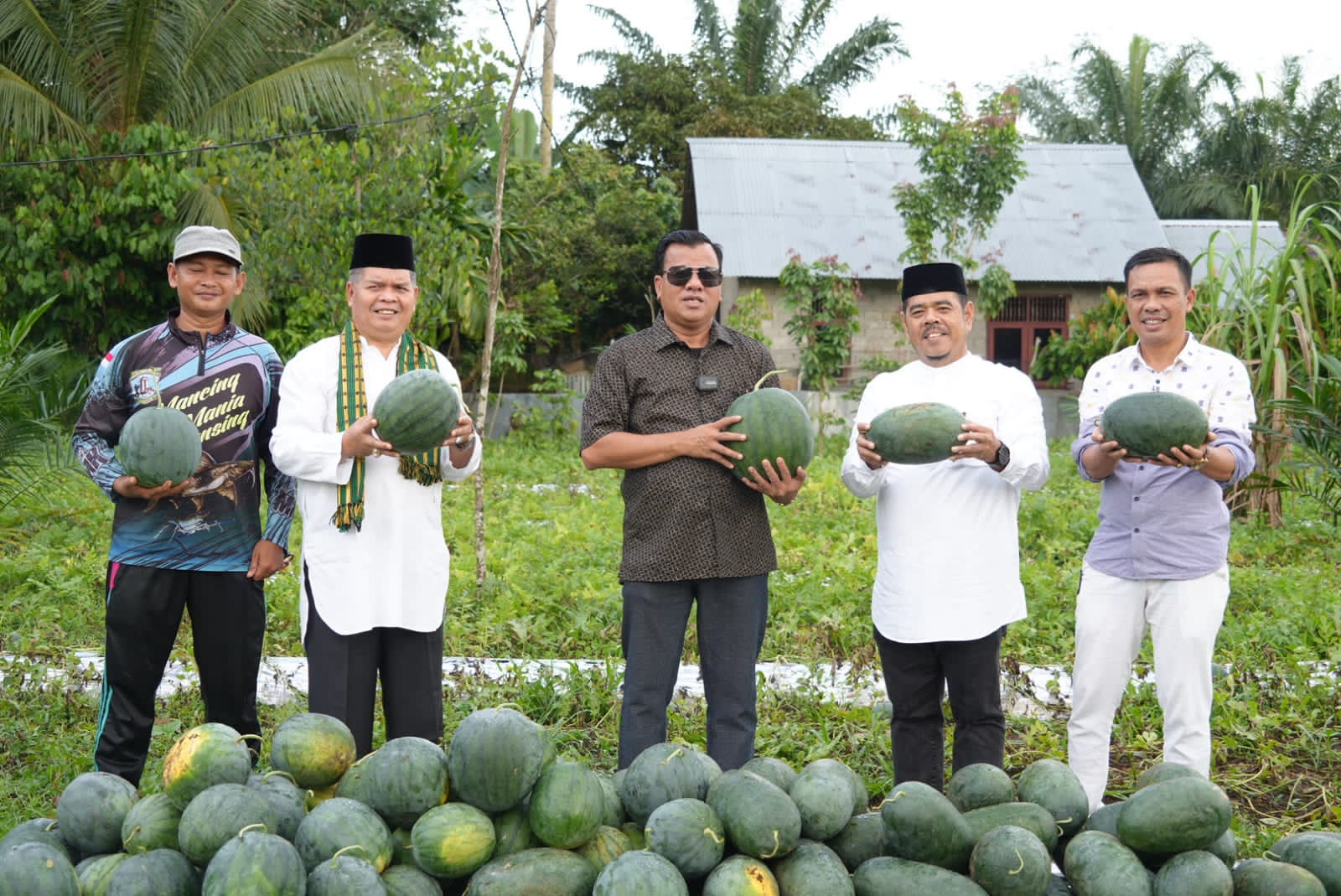 Panen Semangka di Kebun Petani Milenial, Plt Bupati Ajak Generasi Muda Untuk Bertani