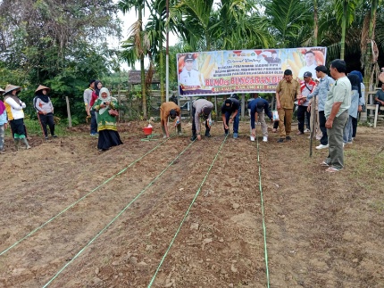 Kapolsek Hingga Camat Benai Turun ke Lahan Ujung Tanjung, Serentak Tanam Jagung Pipil